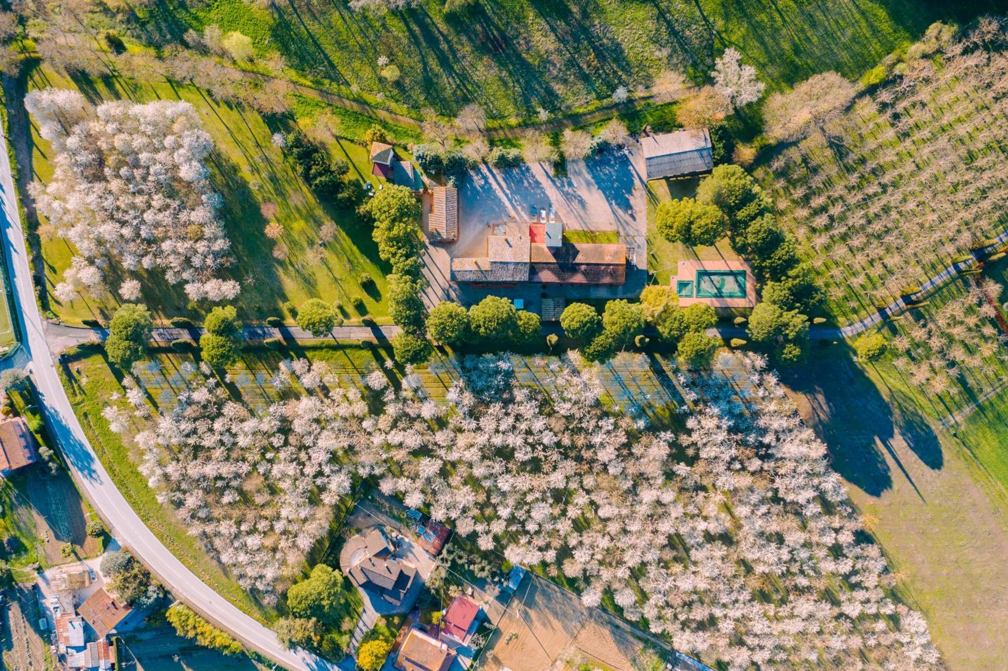 Hotel La Torretta Ассізі Екстер'єр фото